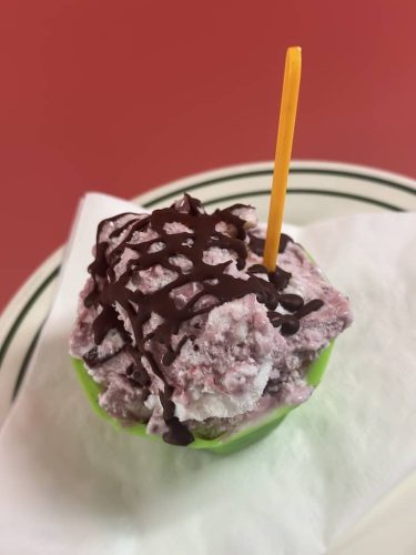 Ice-Cream-Satellite-Beach-Florida-10