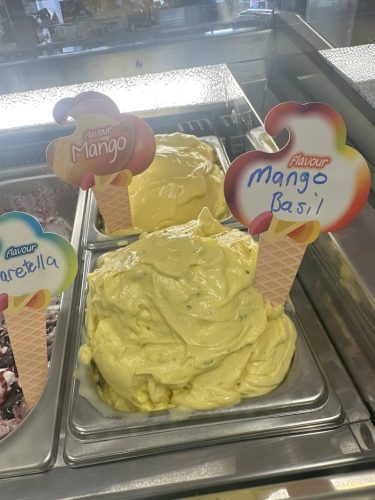 Ice-Cream-Satellite-Beach-Florida-14