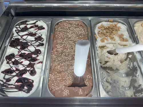 ice-cream-Satellite-Beach-Florida-6-15-26-0012