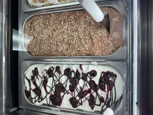 ice-cream-Satellite-Beach-Florida-6-15-26-0014