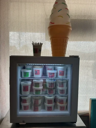 ice-cream-Satellite-Beach-Florida-6-15-26-0021