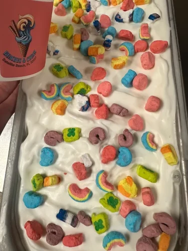 ice-cream-Satellite-Beach-Florida-6-8-26-0029