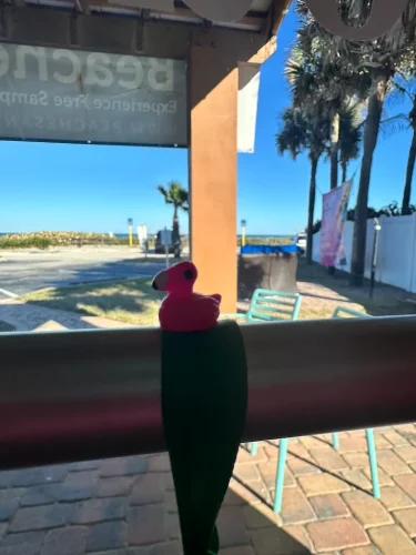 ice-cream-Satellite-Beach-Florida-6-8-26-004