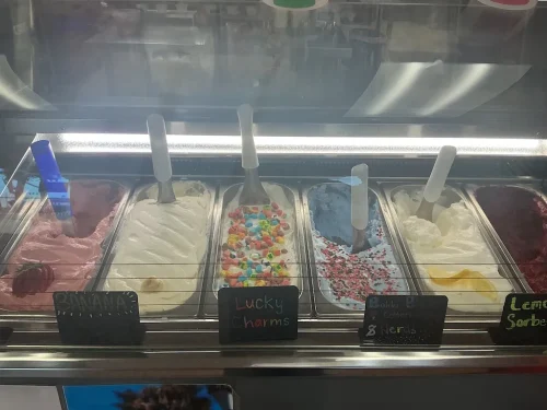 ice-cream-Satellite-Beach-Florida-6-8-26-0041