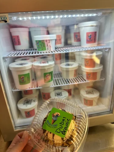 ice-cream-Satellite-Beach-Florida-6-8-26-005