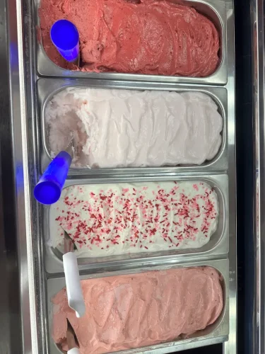 ice-cream-Satellite-Beach-Florida-6-8-26-009