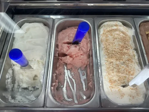 ice-cream-Satellite-Beach-Florida-7-1-26-0020