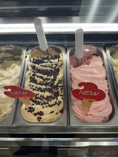 ice-cream-Satellite-Beach-Florida-7-1-26-0033