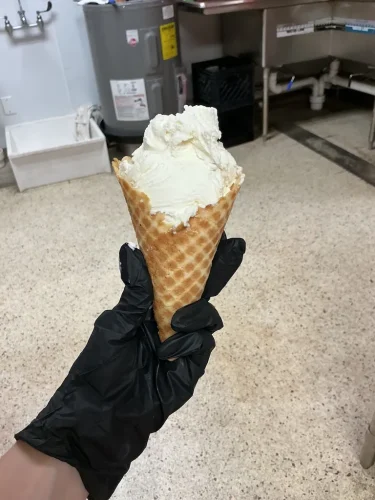 ice-cream-Satellite-Beach-Florida-7-1-26-0037