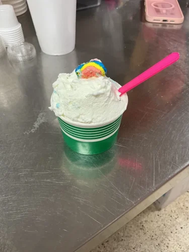 ice-cream-Satellite-Beach-Florida-7-1-26-0039