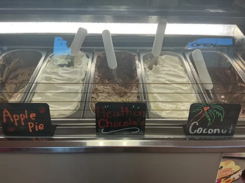 ice-cream-Satellite-Beach-Florida-7-1-26-004