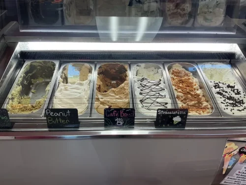 ice-cream-Satellite-Beach-Florida-7-1-26-0054