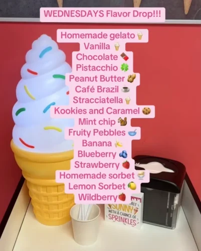 ice-cream-Satellite-Beach-Florida-7-1-26-0062